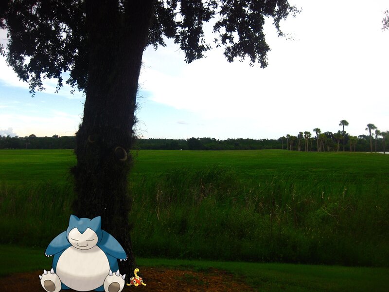 Snorlax resting by a tree