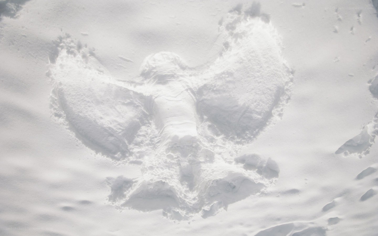 snow angel in white snow
