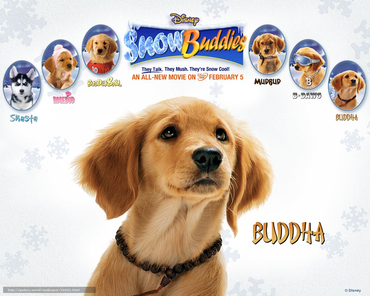 Snow Buddies movie poster