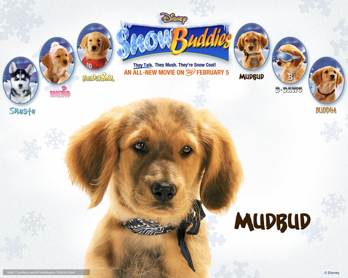 Snow Buddies movie poster