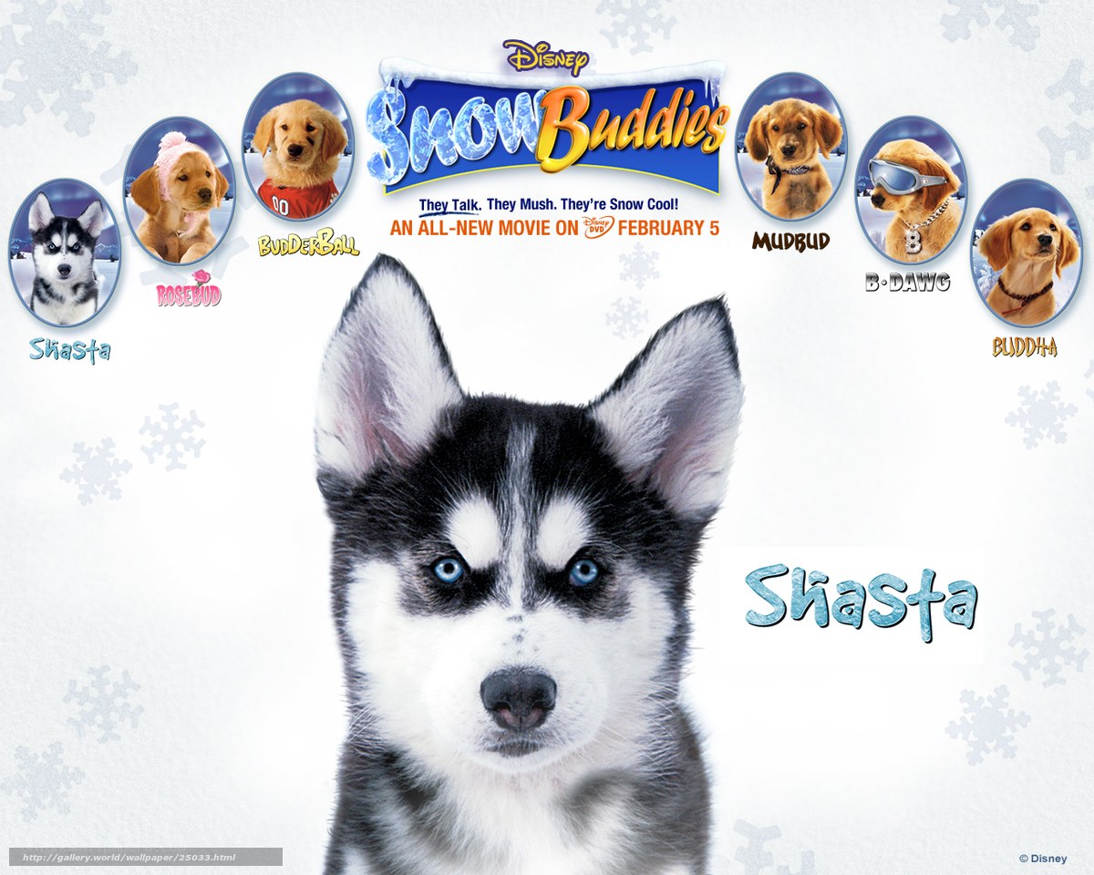Snow Buddies movie poster