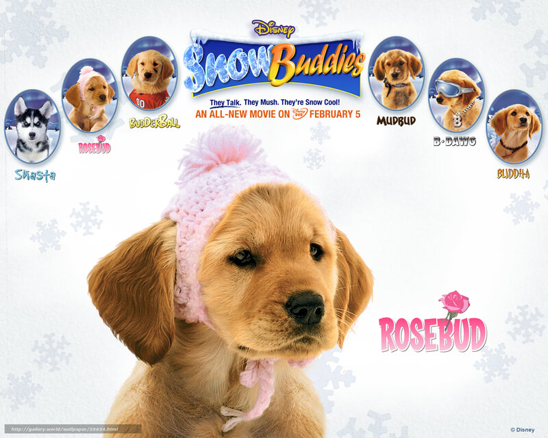Snow Buddies movie poster
