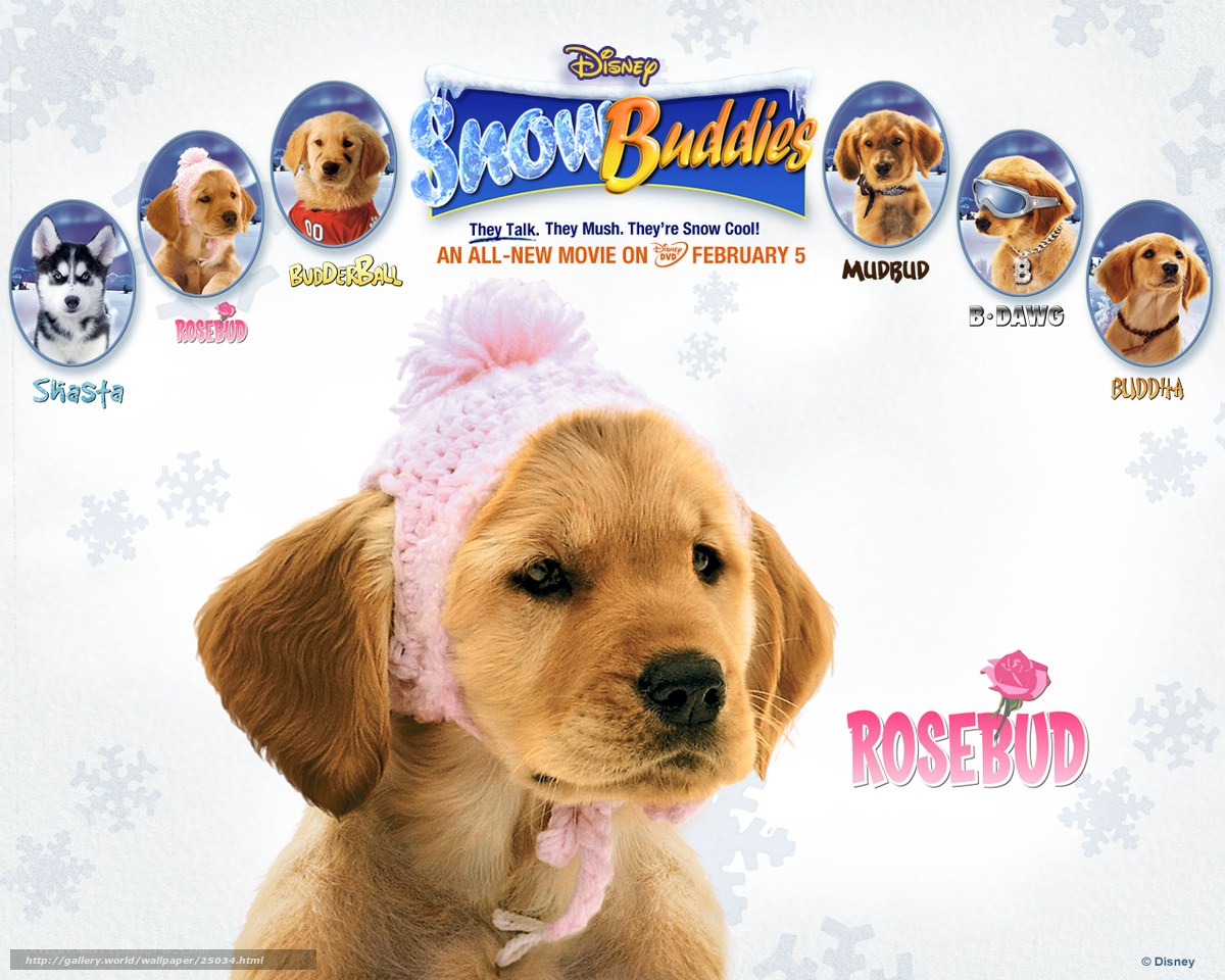 Snow Buddies movie poster