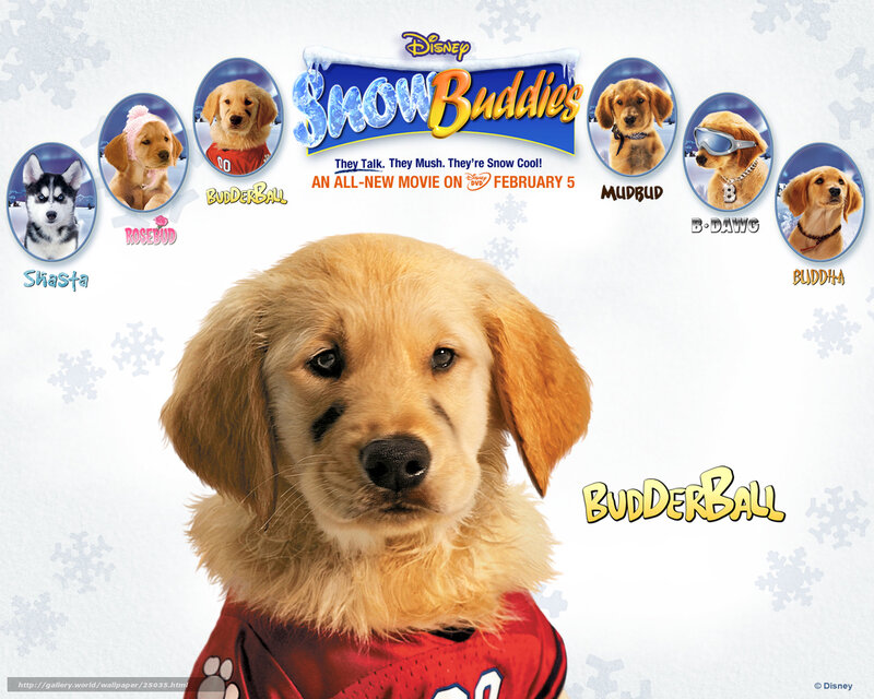 Snow Buddies movie poster