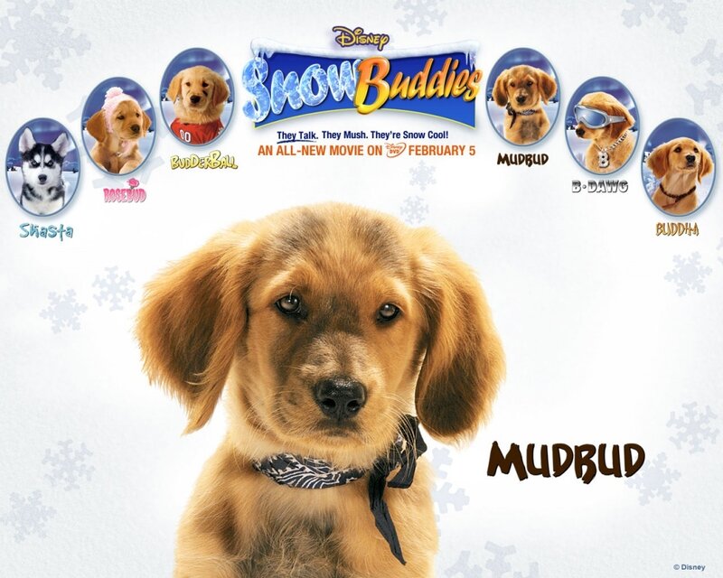 Snow Buddies movie poster