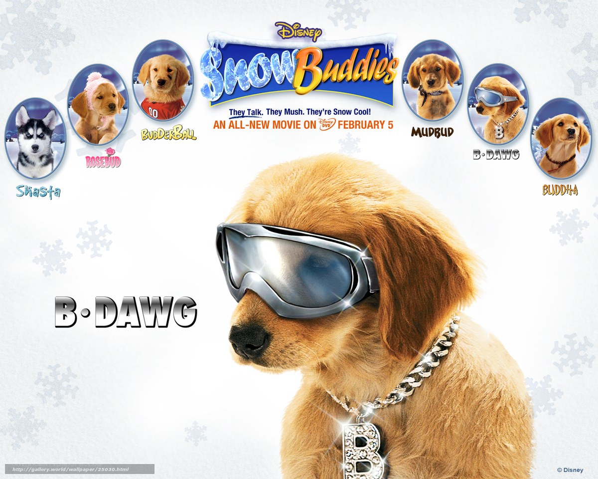 Snow Buddies movie poster
