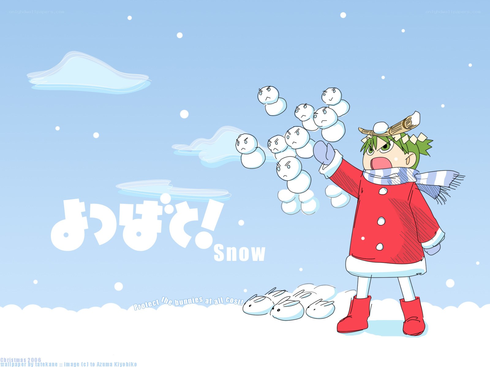 Snow bunny protector