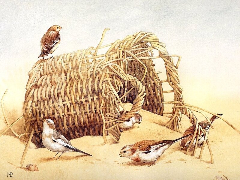 Snow Buntings Near Basket — Beige