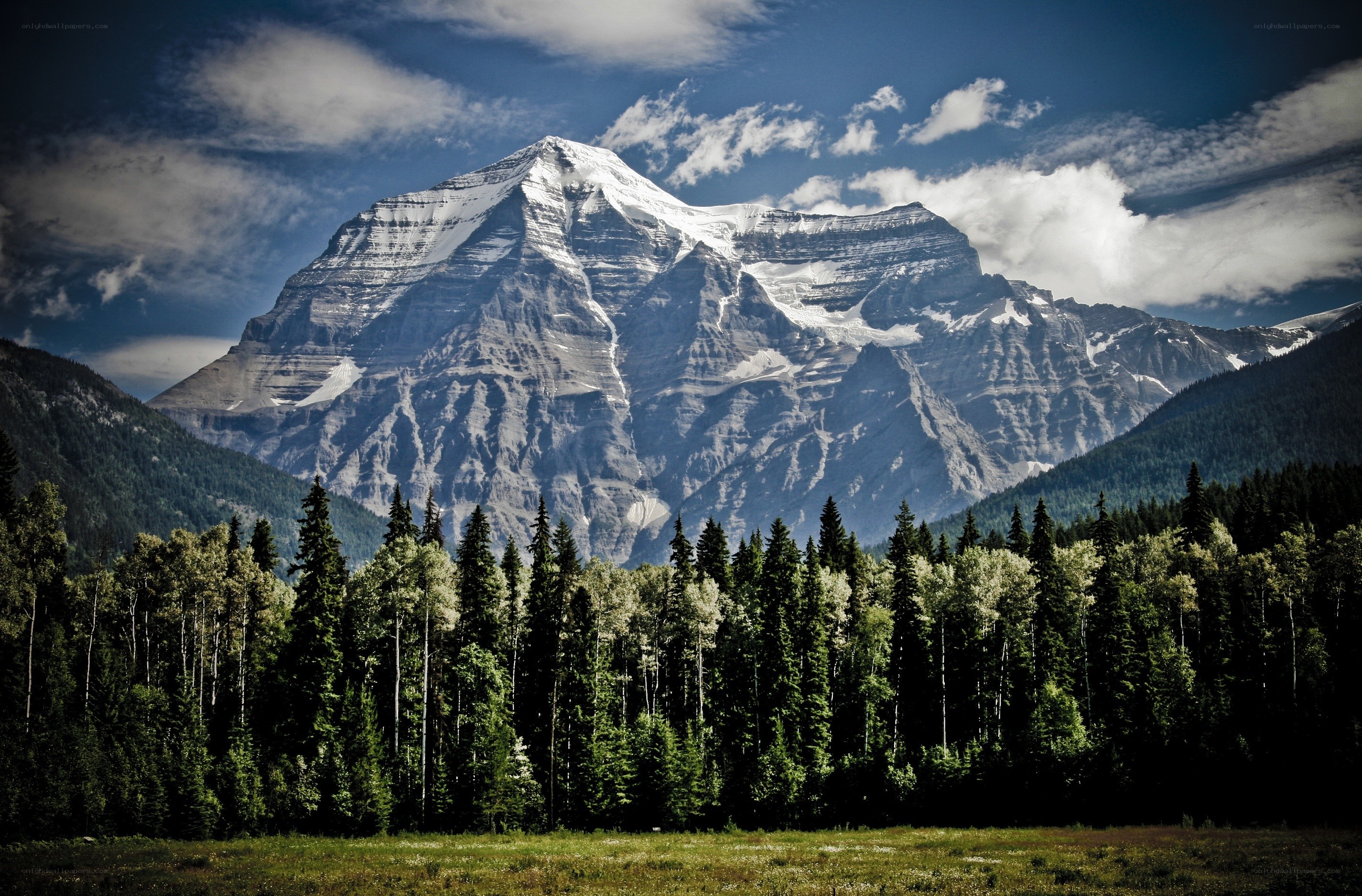 Snow-capped mountain and forest