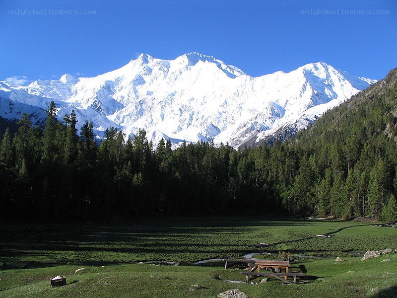 Snow-capped mountain and forest