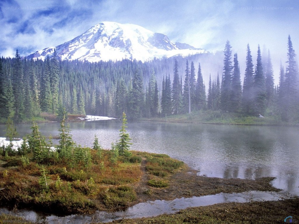 Snow-capped mountain and forest lake