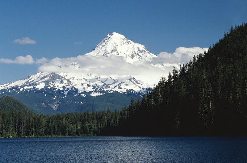 Snow-capped mountain and forest lake
