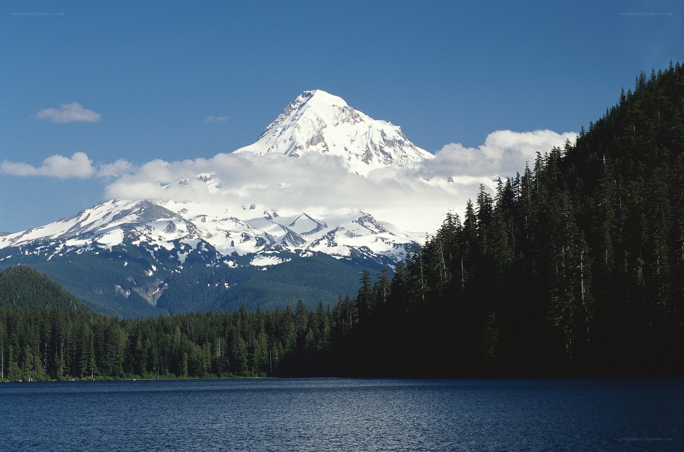 Snow-capped mountain and forest lake