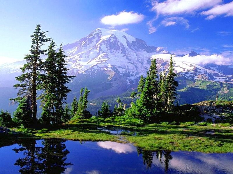 Snow-capped mountain and forest pond