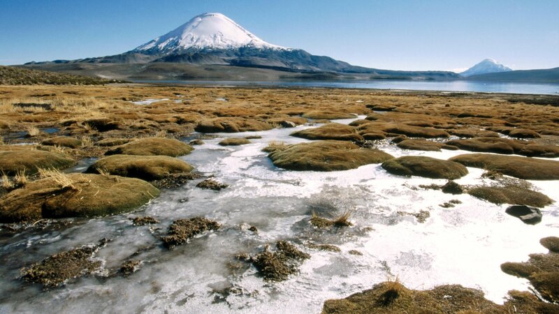 Snow-capped mountain and frozen wetlands
