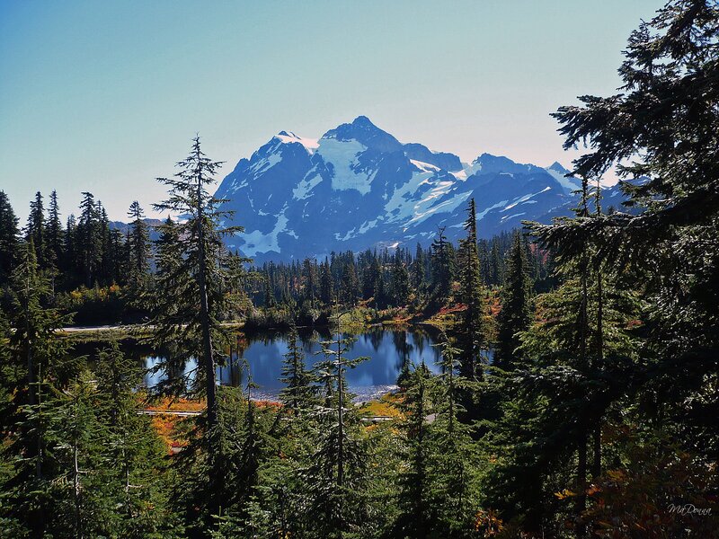 Snow-capped Mountain and Lake — Blue, Serene, Afternoon, Photograph, Forest, Trees