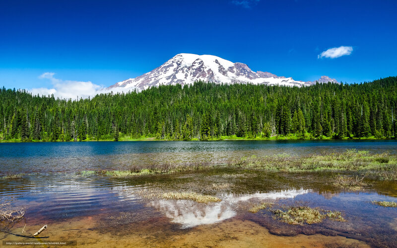 Snow-capped Mountain and Lake — Blue, Serene, Summer, Photograph