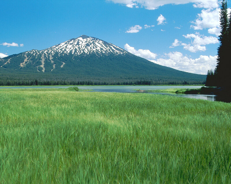 Snow-capped Mountain and Lake — Green
