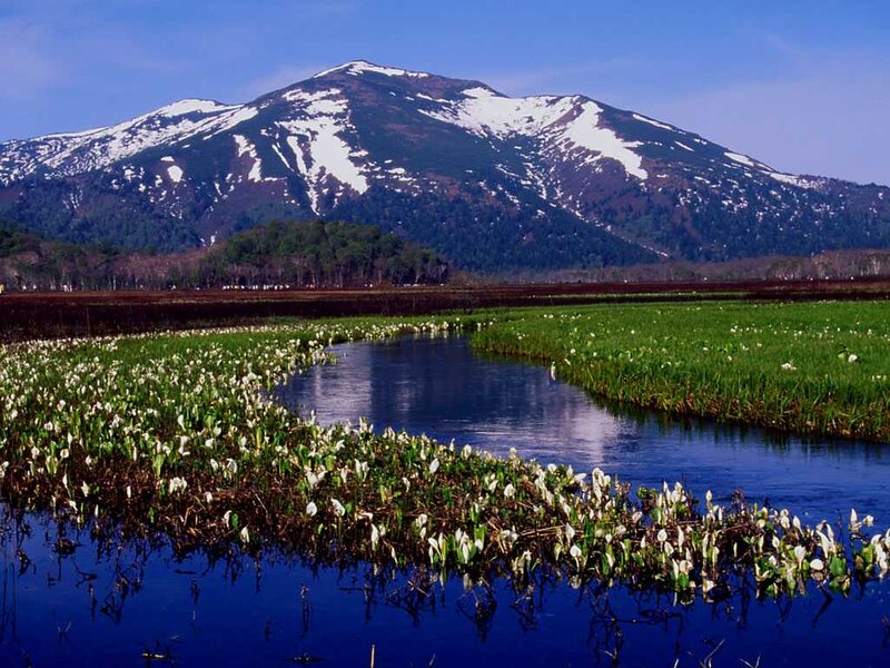 Snow-capped Mountain and Marsh