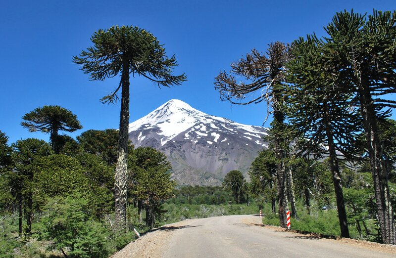 Snow-capped Mountain and Trees — Blue