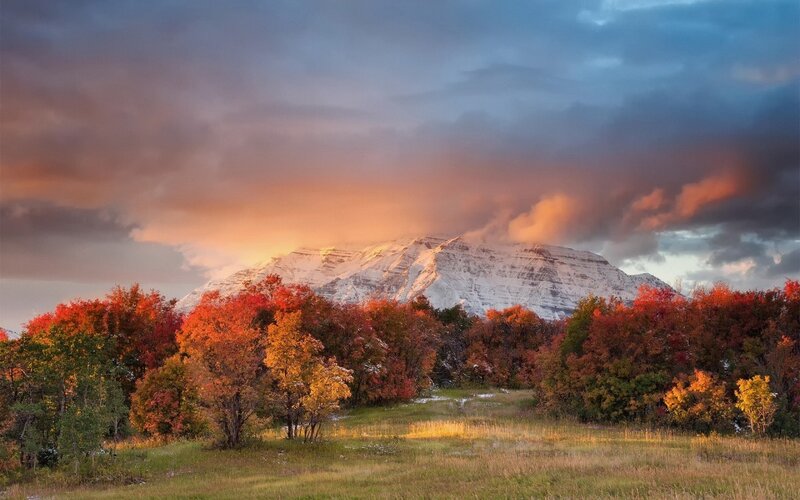Snow-capped Mountain and Trees — Orange