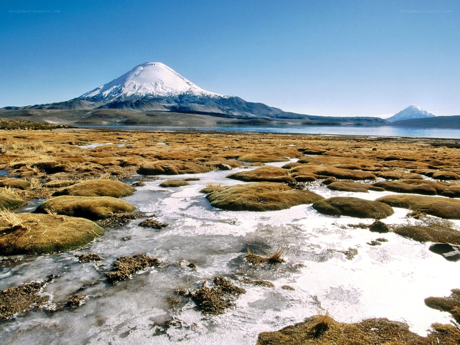 Snow-capped mountain and wetlands