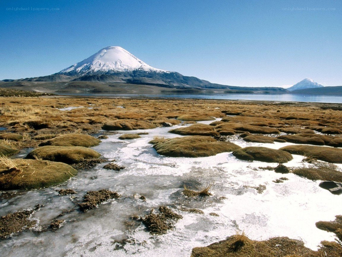 Snow-capped mountain and wetlands