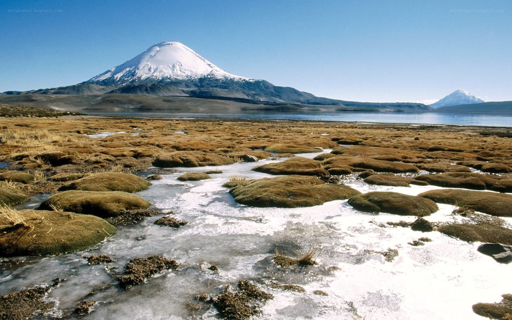 Snow-capped mountain and wetlands