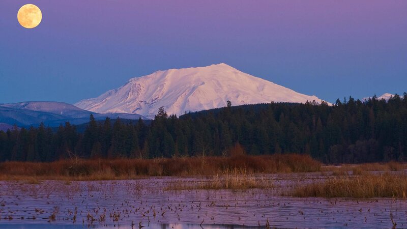 Snow-capped Mountain at Dusk — Purple, Serene