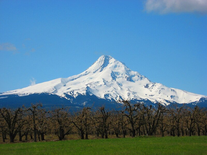Snow-capped Mountain — Blue, Serene, Afternoon, Photograph, Trees, Field