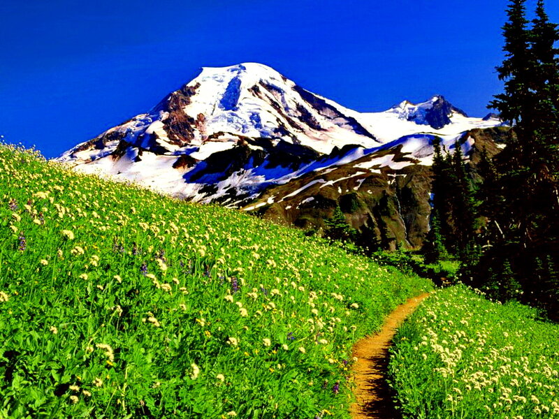 Snow-capped Mountain — Blue, Serene, Summer