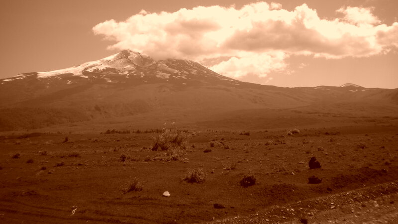 Snow-capped Mountain — Brown