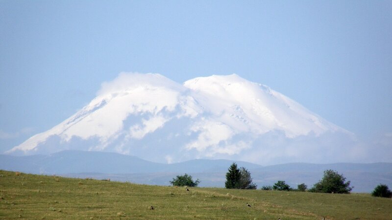 Snow-capped Mountain — Green, Serene, Afternoon, Photograph, Grass Field, Trees