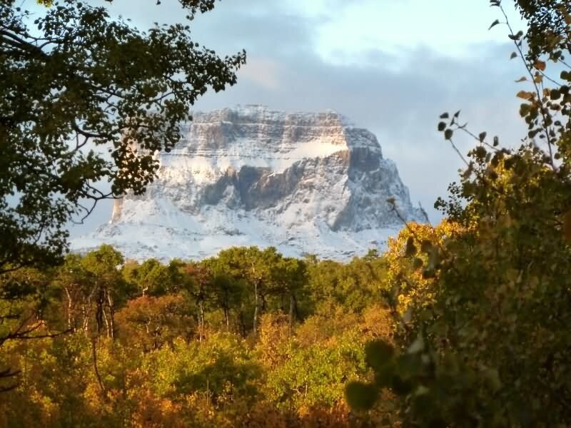 Snow-capped Mountain — Green, Serene, Autumn