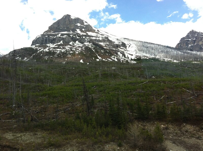 Snow-capped Mountain — Green, Serene, Spring