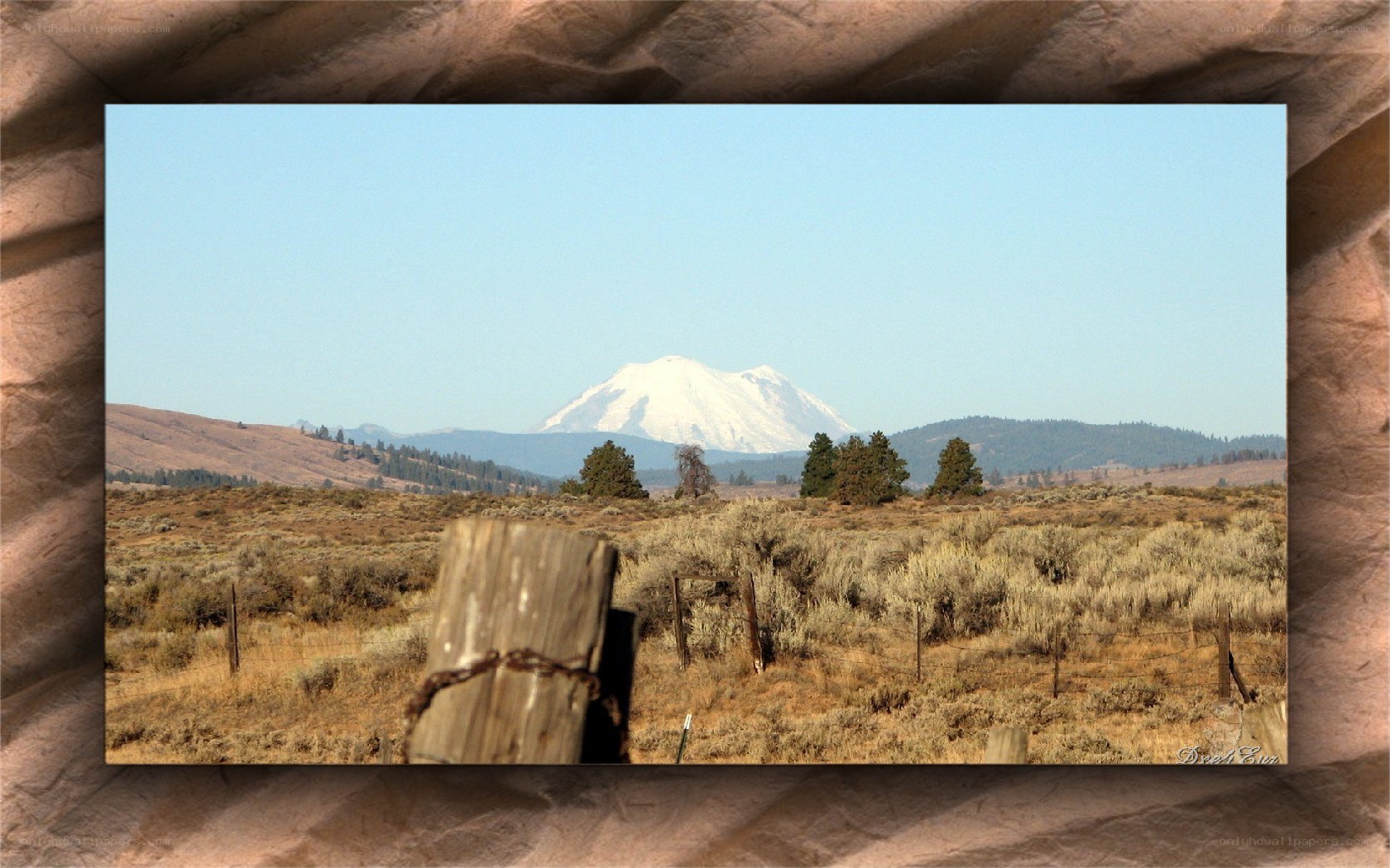 Snow-capped mountain in a dry field