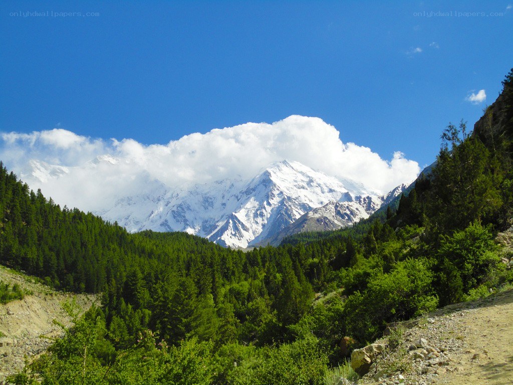 Snow-capped mountain in forest valley