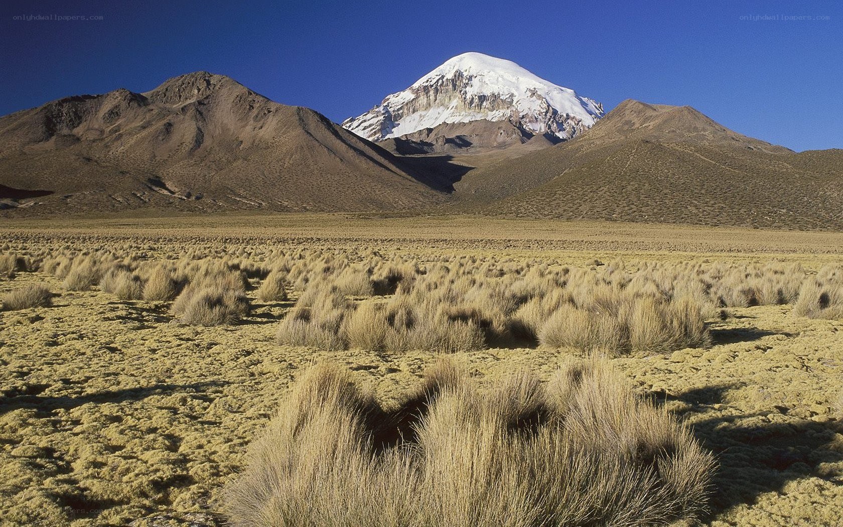 Snow-capped mountain in high desert
