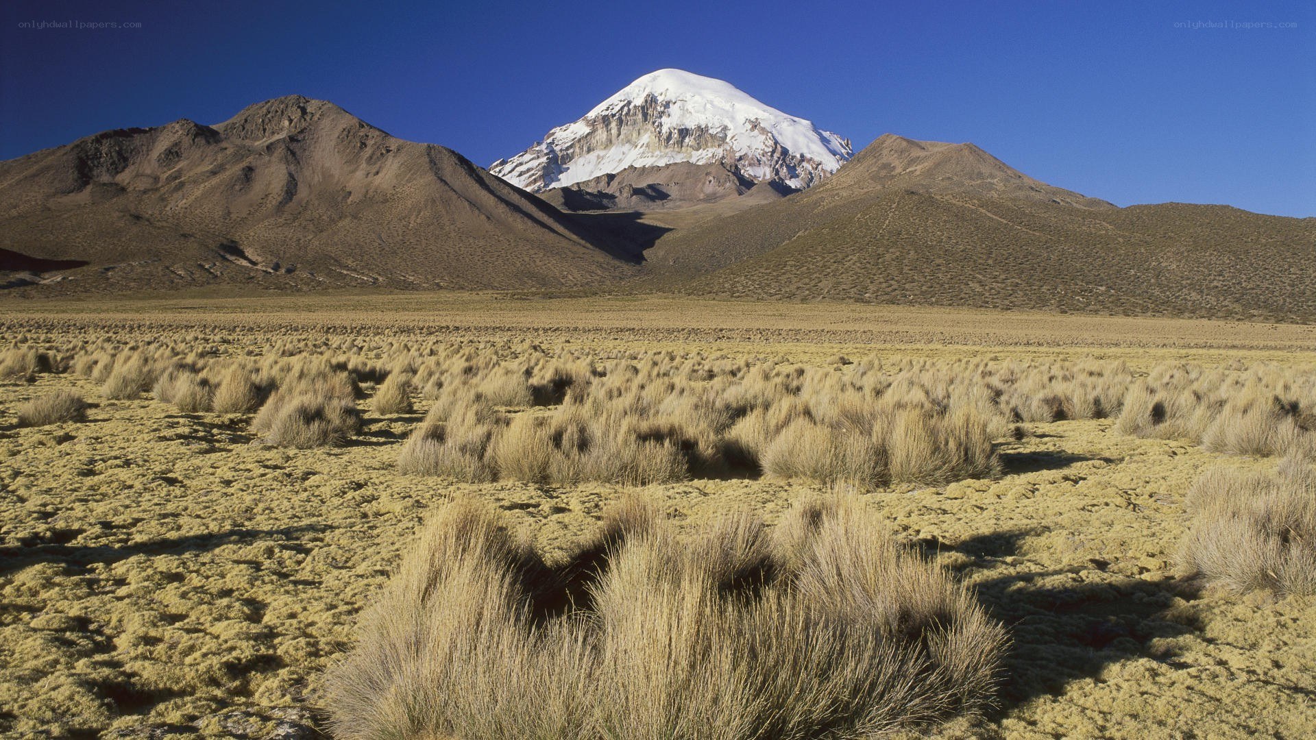 Snow-capped mountain in high desert