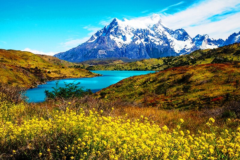 Snow-capped Mountain Lake — Blue, Serene, Afternoon, Photograph, Flowers
