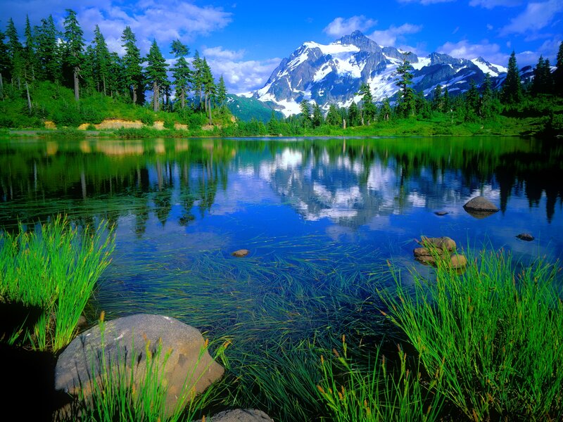 Snow-capped Mountain Lake — Blue, Serene, Afternoon, Photograph, Forest, Grass