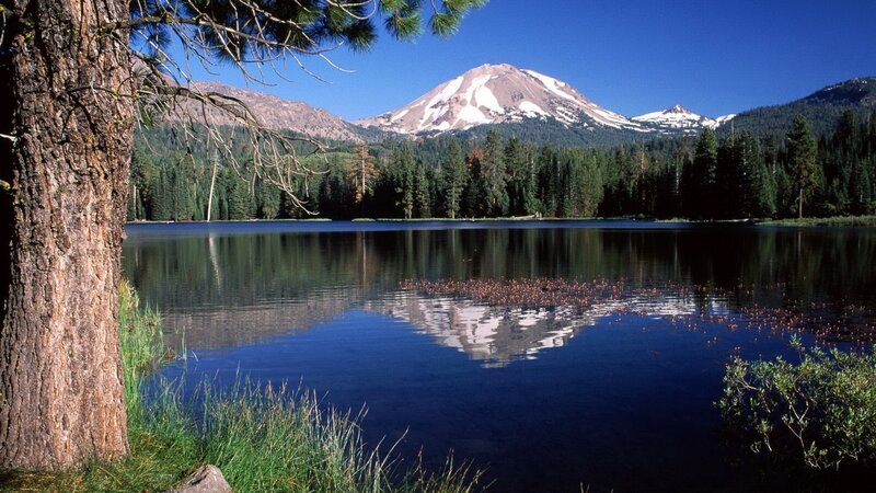 Snow-capped Mountain Lake — Blue, Serene, Afternoon, Photograph, Tree, Forest