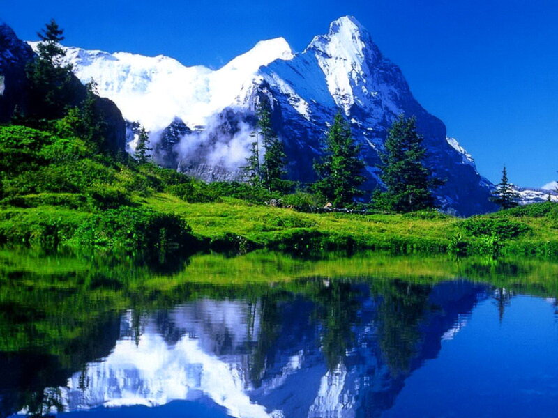 Snow-capped Mountain Lake — Blue, Serene, Afternoon, Photograph, Trees, Grass