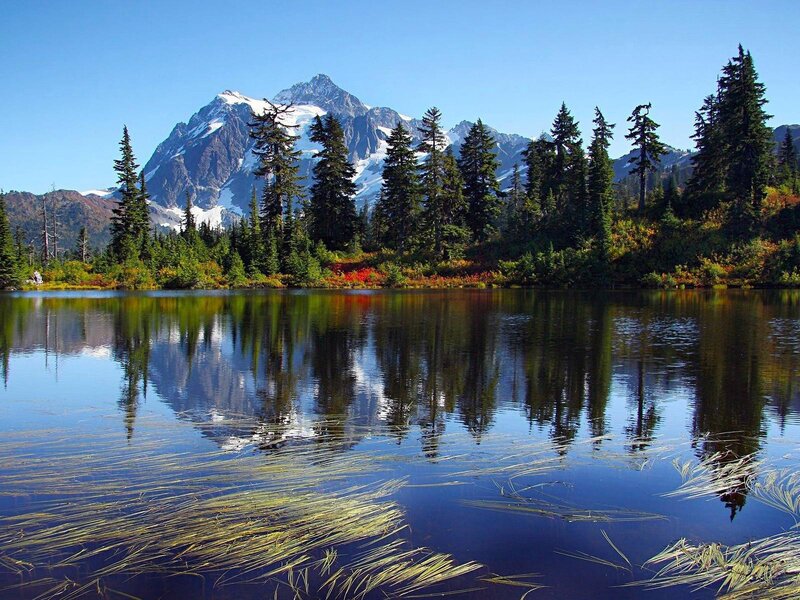 Snow-capped Mountain Lake — Blue, Serene, Afternoon, Photograph, Trees, Reflection, Green