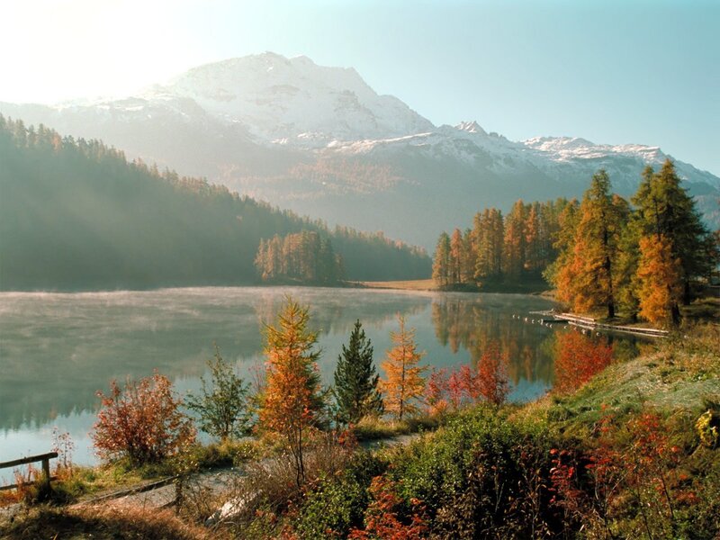 Snow-capped Mountain Lake — Blue, Serene, Morning, Photograph, Forest