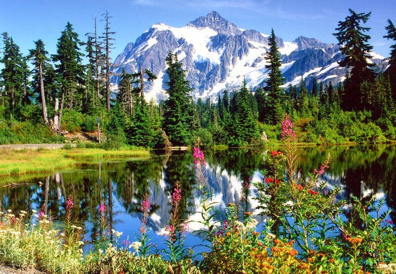 Snow-capped Mountain Lake — Blue, Serene, Summer, Photograph, Trees, Flowers, Reflection