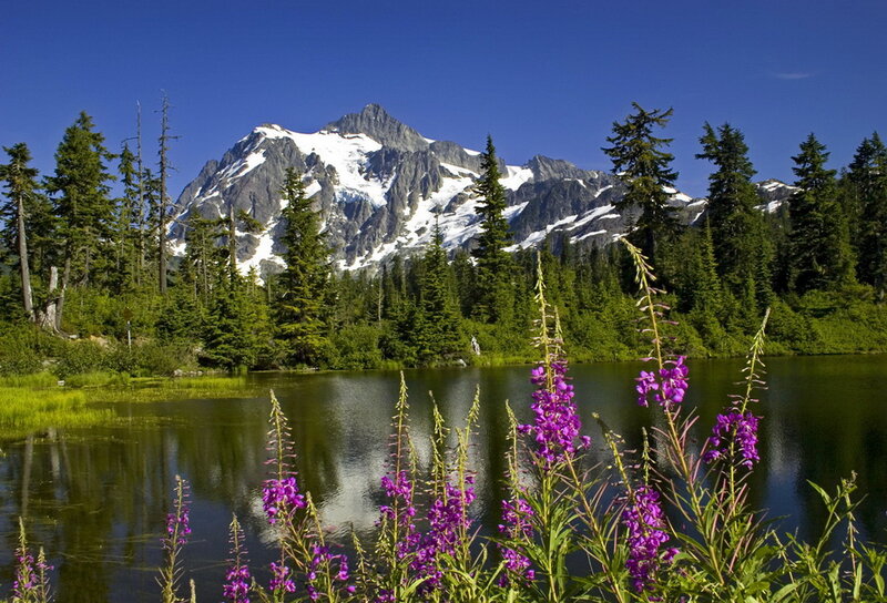 Snow-capped Mountain Lake — Blue, Serene, Summer, Photograph, Trees, Flowers