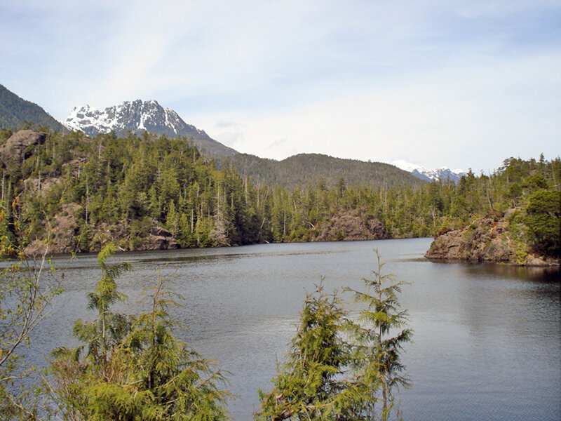 Snow-capped Mountain Lake — Green, Serene, Afternoon, Photograph, Forest