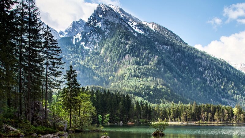 Snow-capped Mountain Lake — Green, Serene, Afternoon, Photograph, Pine Trees, Forest