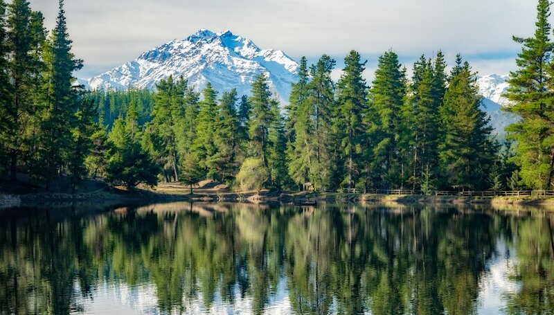 Snow-capped Mountain Lake — Green, Serene, Afternoon, Photograph, Trees